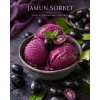 jamun_sorbet